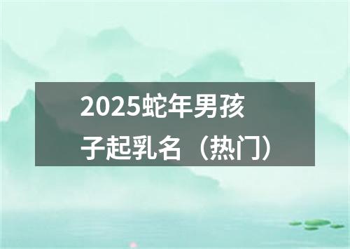 2025蛇年男孩子起乳名（热门）