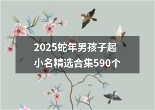 2025蛇年男孩子起小名精选合集590个