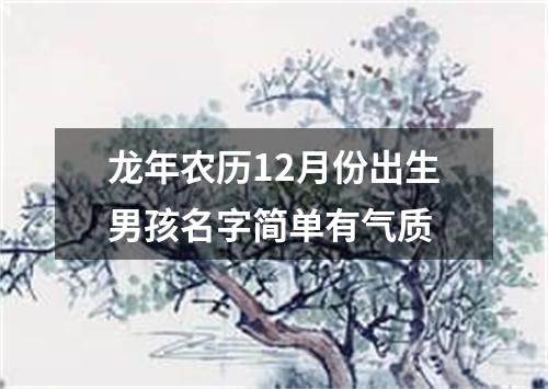 龙年农历12月份出生男孩名字简单有气质