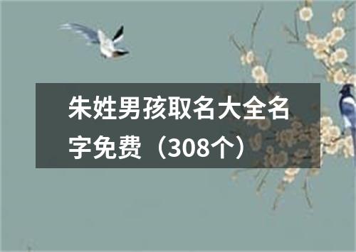 朱姓男孩取名大全名字免费（308个）