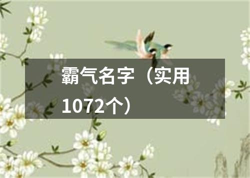 霸气名字（实用1072个）