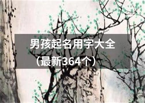 男孩起名用字大全（最新364个）