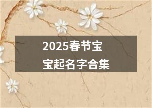 2025春节宝宝起名字合集