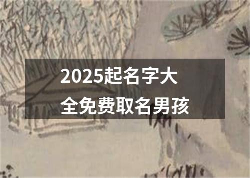 2025起名字大全免费取名男孩