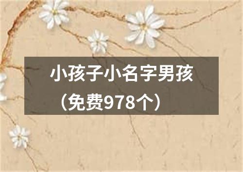 小孩子小名字男孩（免费978个）