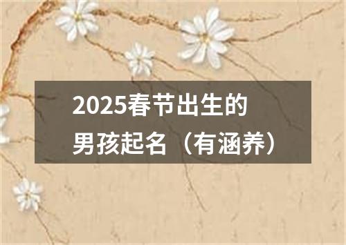 2025春节出生的男孩起名（有涵养）