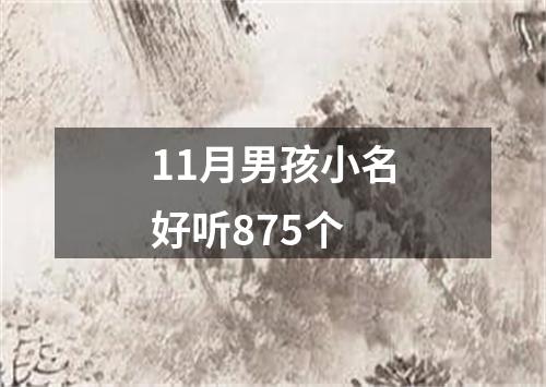 11月男孩小名好听875个