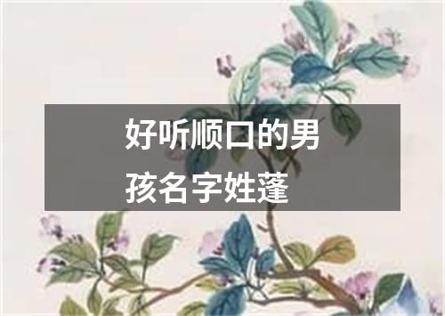 好听顺口的男孩名字姓蓬