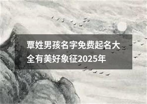 覃姓男孩名字免费起名大全有美好象征2025年