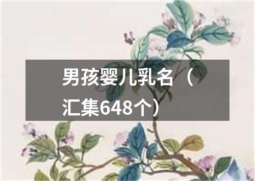 男孩婴儿乳名（汇集648个）