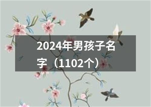 2024年男孩子名字（1102个）