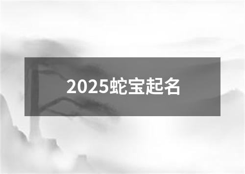 2025蛇宝起名