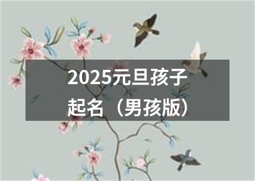 2025元旦孩子起名（男孩版）