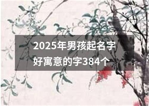 2025年男孩起名字好寓意的字384个