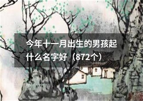 今年十一月出生的男孩起什么名字好（872个）