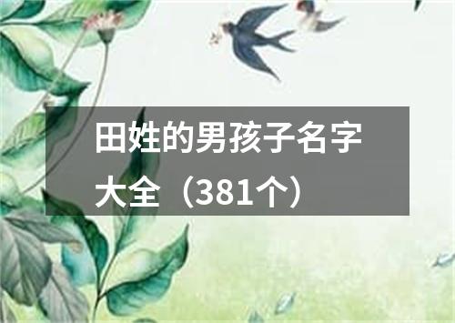 田姓的男孩子名字大全（381个）