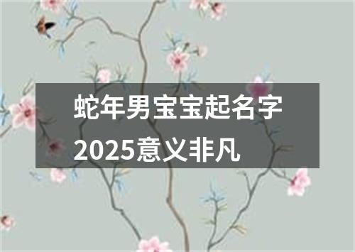 蛇年男宝宝起名字2025意义非凡