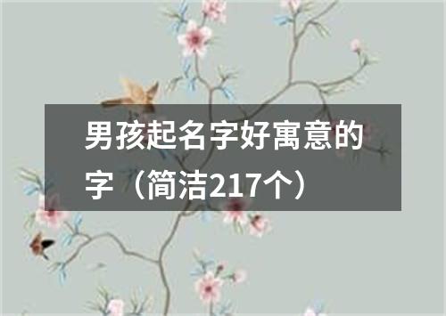 男孩起名字好寓意的字（简洁217个）