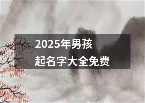 2025年男孩起名字大全免费