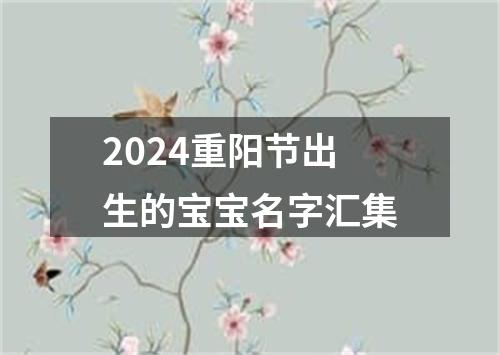 2024重阳节出生的宝宝名字汇集