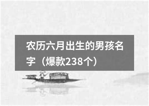 农历六月出生的男孩名字（爆款238个）