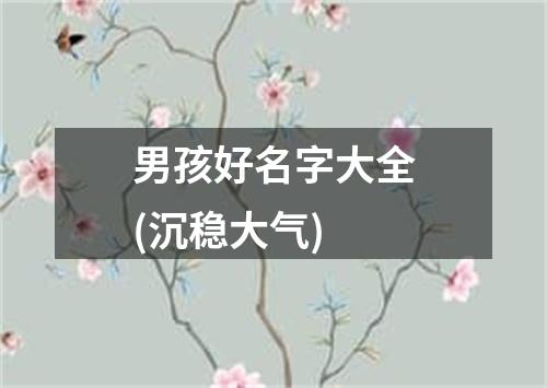 男孩好名字大全(沉稳大气)