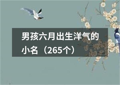 男孩六月出生洋气的小名（265个）