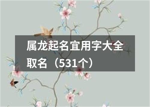 属龙起名宜用字大全取名（531个）