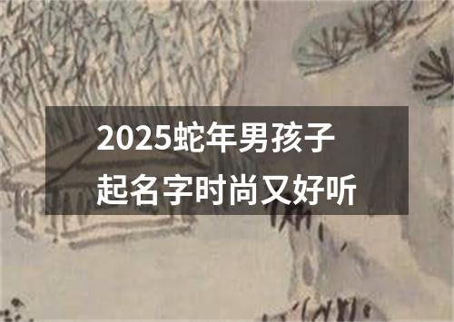 2025蛇年男孩子起名字时尚又好听