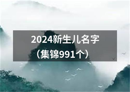 2024新生儿名字（集锦991个）