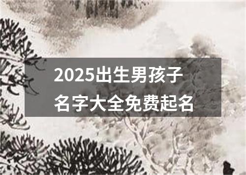 2025出生男孩子名字大全免费起名