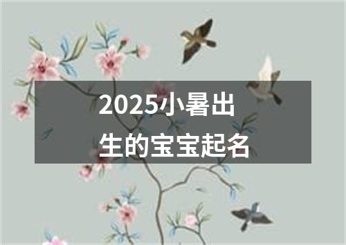 2025小暑出生的宝宝起名