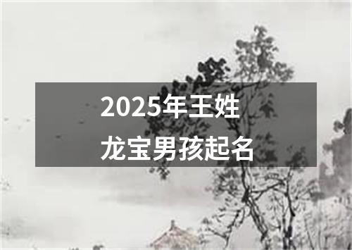 2025年王姓龙宝男孩起名