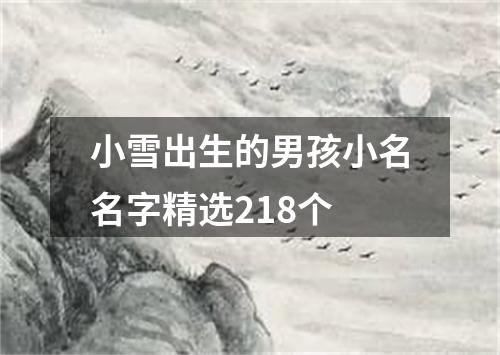 小雪出生的男孩小名名字精选218个