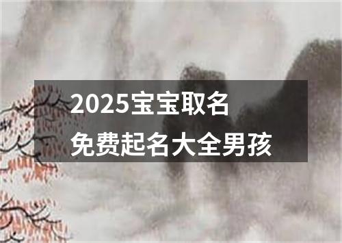 2025宝宝取名免费起名大全男孩