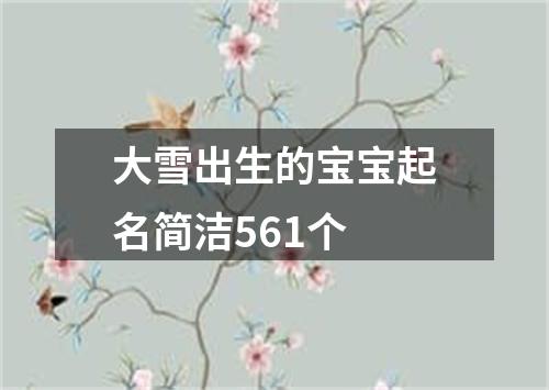 大雪出生的宝宝起名简洁561个