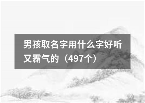 男孩取名字用什么字好听又霸气的（497个）