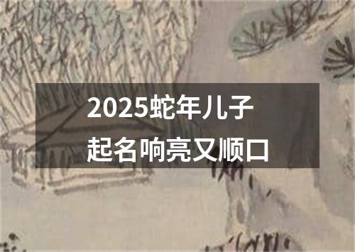 2025蛇年儿子起名响亮又顺口