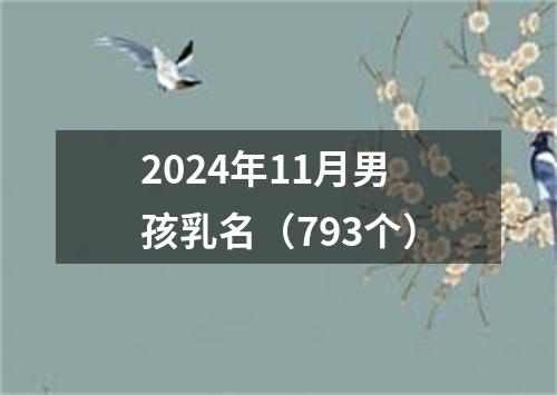 2024年11月男孩乳名（793个）