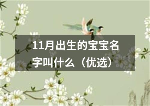 11月出生的宝宝名字叫什么（优选）