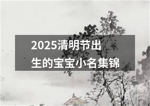 2025清明节出生的宝宝小名集锦