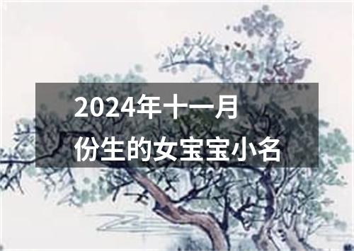 2024年十一月份生的女宝宝小名