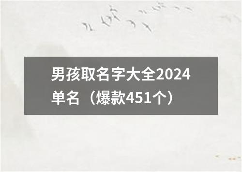 男孩取名字大全2024单名（爆款451个）