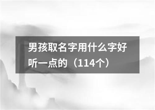 男孩取名字用什么字好听一点的（114个）