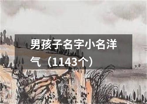 男孩子名字小名洋气（1143个）