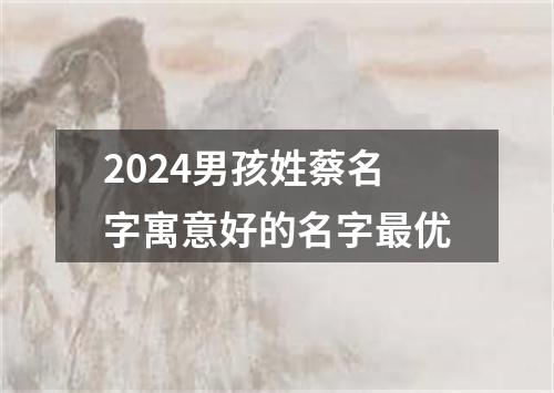 2024男孩姓蔡名字寓意好的名字最优