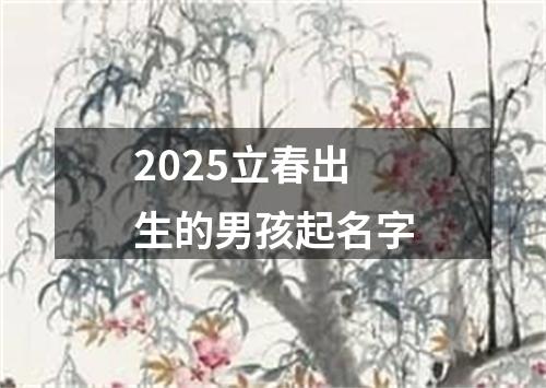 2025立春出生的男孩起名字