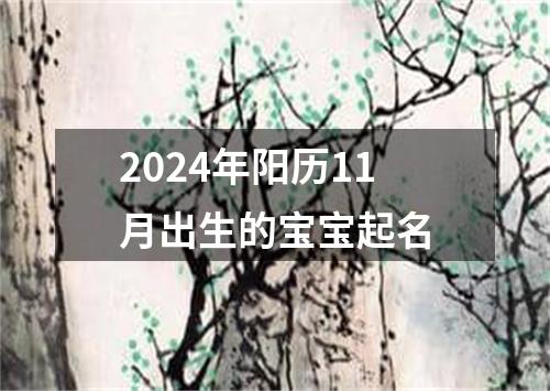 2024年阳历11月出生的宝宝起名