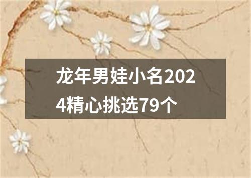 龙年男娃小名2024精心挑选79个