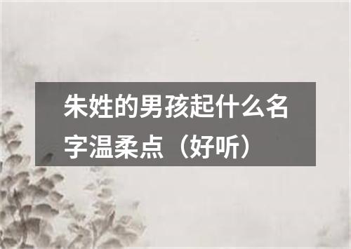 朱姓的男孩起什么名字温柔点（好听）